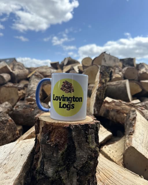 What Are the Best Logs for a Wood Burner in Malvern?